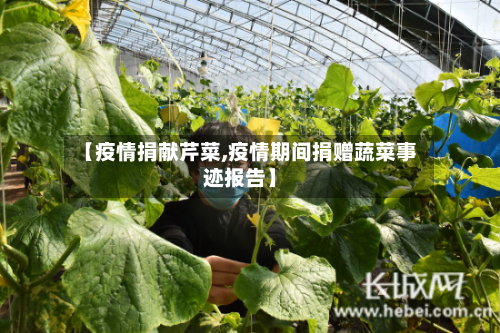 【疫情捐献芹菜,疫情期间捐赠蔬菜事迹报告】