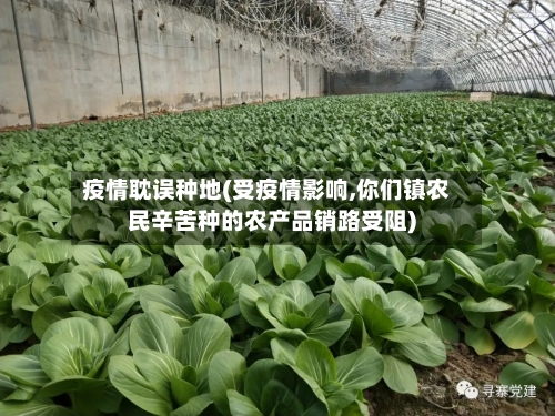 疫情耽误种地(受疫情影响,你们镇农民辛苦种的农产品销路受阻)-第2张图片