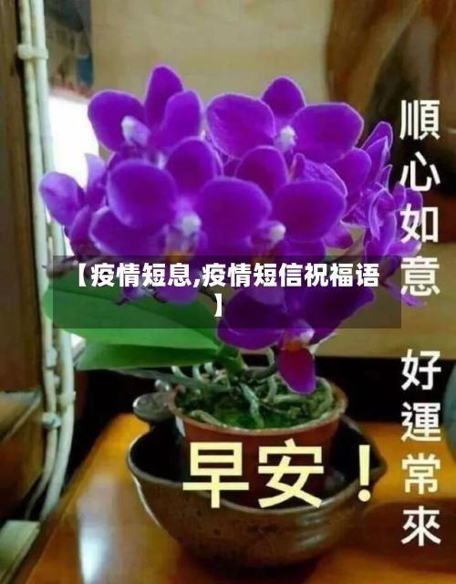 【疫情短息,疫情短信祝福语】