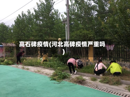 高石碑疫情(河北高碑疫情严重吗)