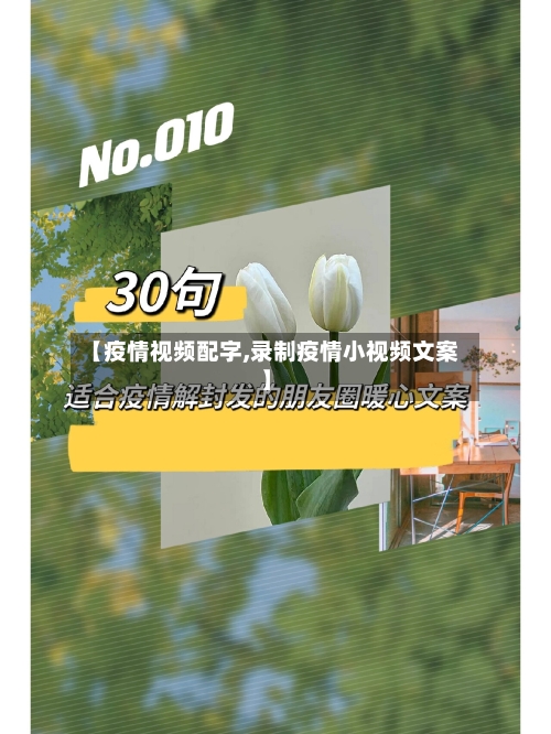 【疫情视频配字,录制疫情小视频文案】