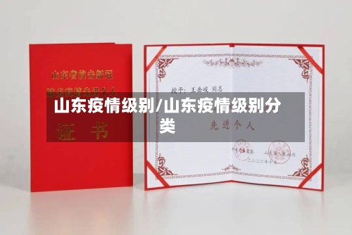 山东疫情级别/山东疫情级别分类-第2张图片