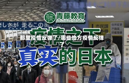 那里疫情反弹了/哪些地方疫情反弹了