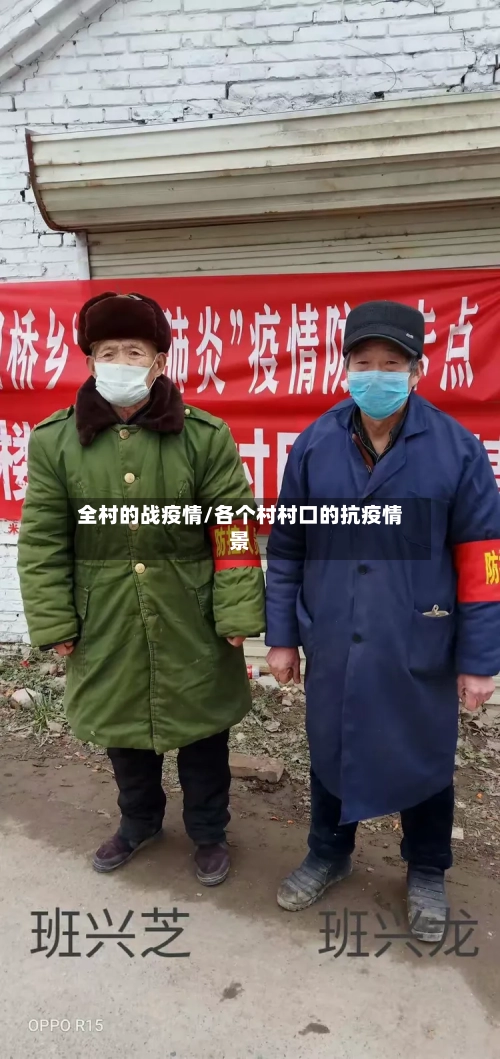 全村的战疫情/各个村村口的抗疫情景