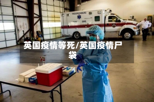 英国疫情等死/英国疫情尸袋