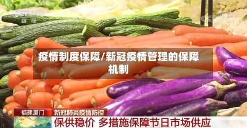 疫情制度保障/新冠疫情管理的保障机制