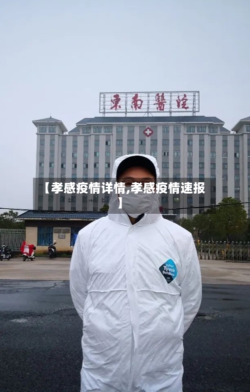 【孝感疫情详情,孝感疫情速报】