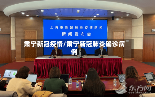 肃宁新冠疫情/肃宁新冠肺炎确诊病例-第2张图片