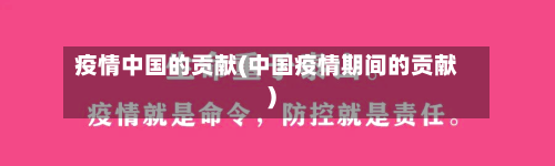 疫情中国的贡献(中国疫情期间的贡献)