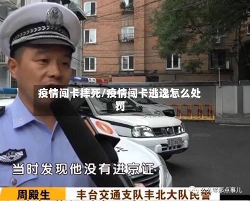 疫情闯卡摔死/疫情闯卡逃逸怎么处罚