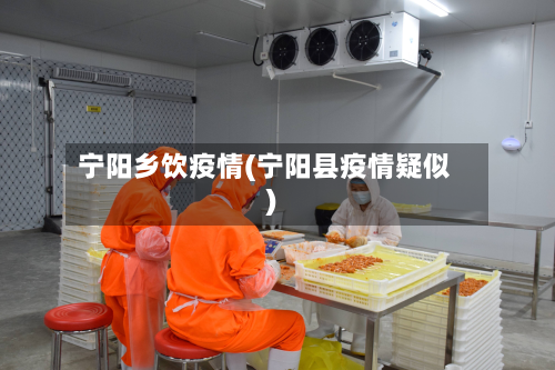 宁阳乡饮疫情(宁阳县疫情疑似)-第2张图片