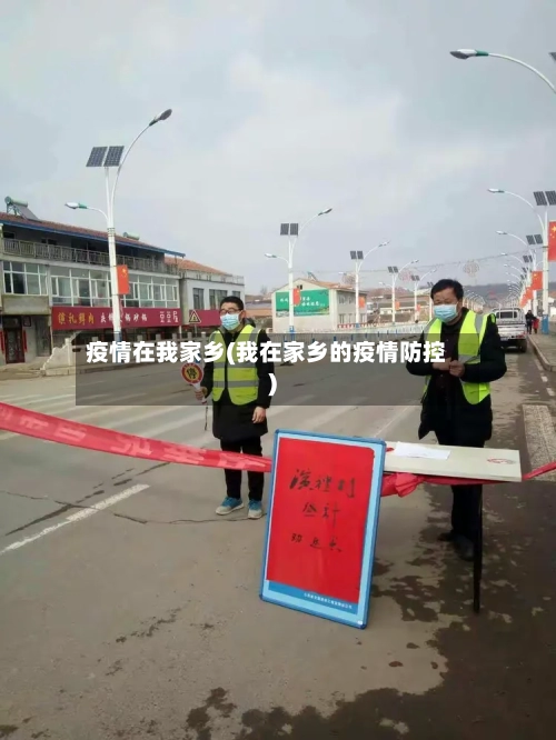 疫情在我家乡(我在家乡的疫情防控)
