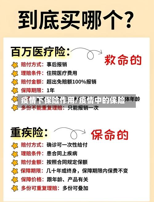 疫情下保险作用/疫情中的保险