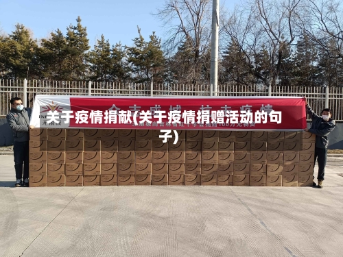 关于疫情捐献(关于疫情捐赠活动的句子)