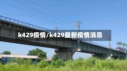 k429疫情/k429最新疫情消息