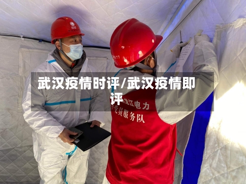 武汉疫情时评/武汉疫情即评-第2张图片