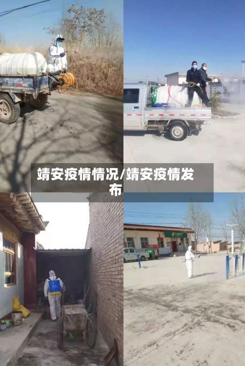 靖安疫情情况/靖安疫情发布-第3张图片