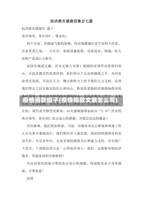 疫情捐款搞子(疫情捐款文案怎么写)