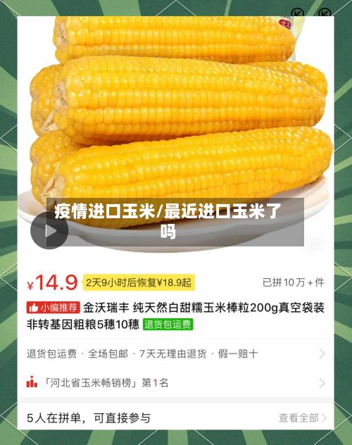 疫情进口玉米/最近进口玉米了吗-第2张图片