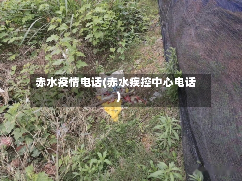 赤水疫情电话(赤水疾控中心电话)