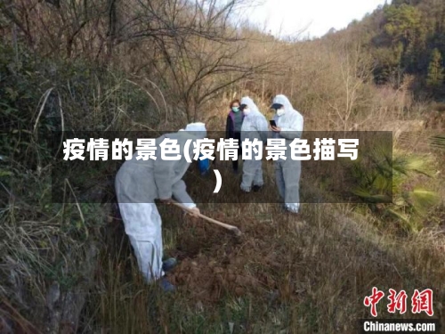 疫情的景色(疫情的景色描写)