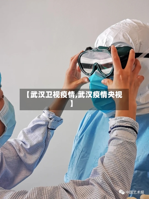 【武汉卫视疫情,武汉疫情央视】-第2张图片