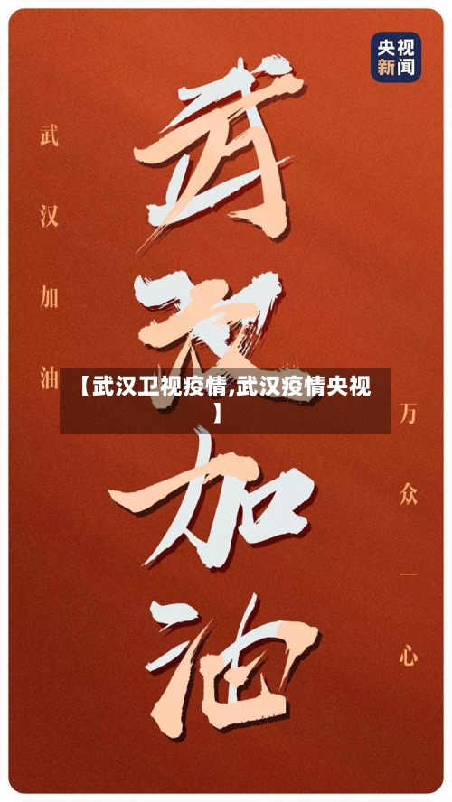【武汉卫视疫情,武汉疫情央视】-第3张图片